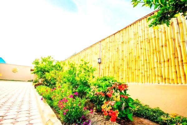 Boma la Ngombe Safi House B&B 외부 사진