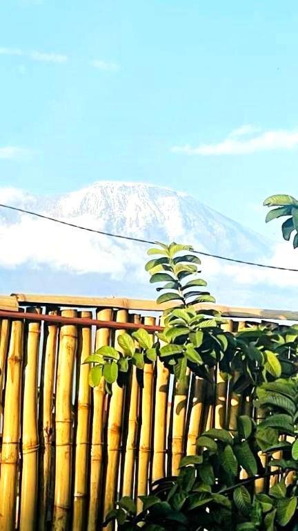 Boma la Ngombe Safi House B&B 외부 사진
