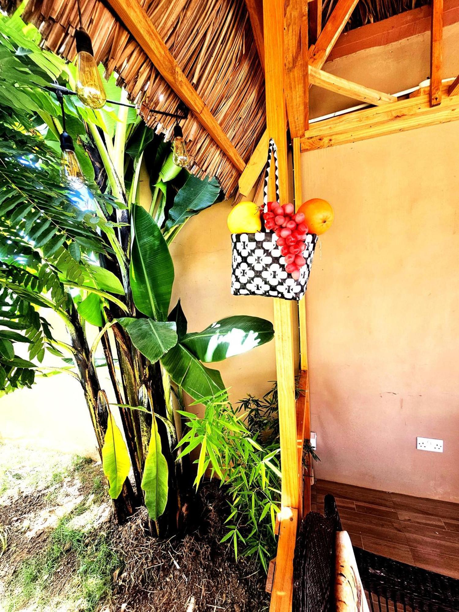Boma la Ngombe Safi House B&B 외부 사진