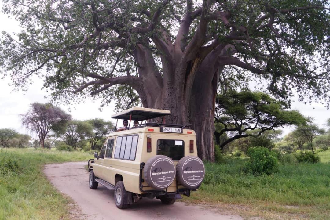 Boma la Ngombe Safi House B&B 외부 사진